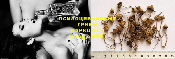 таблы Армянск
