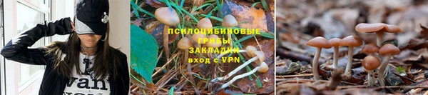 твердый Баксан