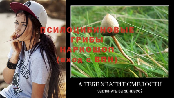 твердый Баксан