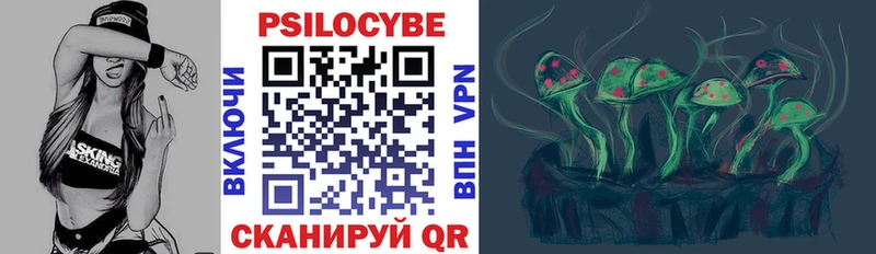 Псилоцибиновые грибы прущие грибы  Балтийск 
