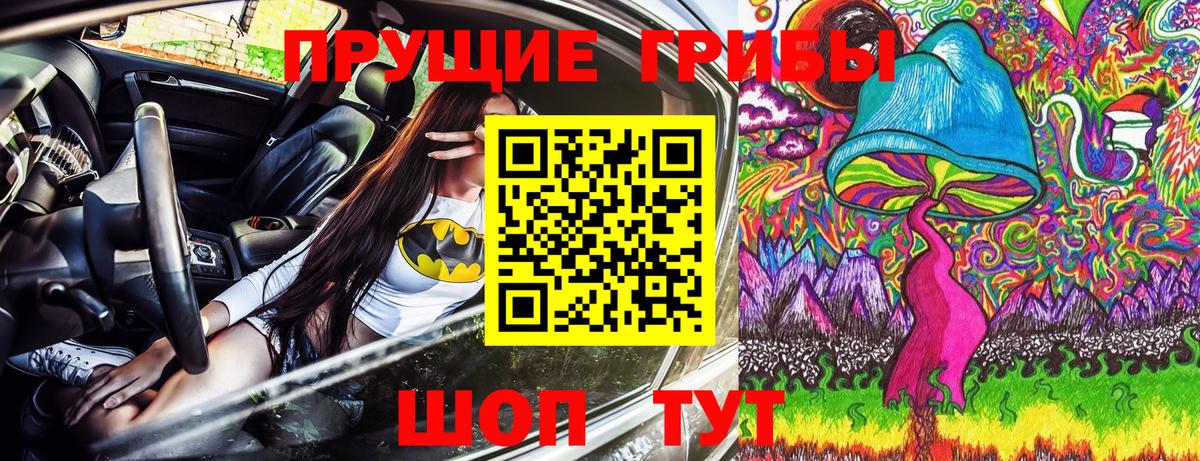 Балтийск  Галлюциногенные грибы GOLDEN TEACHER  Галлюциногенные грибы GOLDEN TEACHER  Вход с VPN 